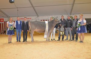 Champion Rind Brown Swiss_Haegar Hosta_Paul Klin Steinen_k